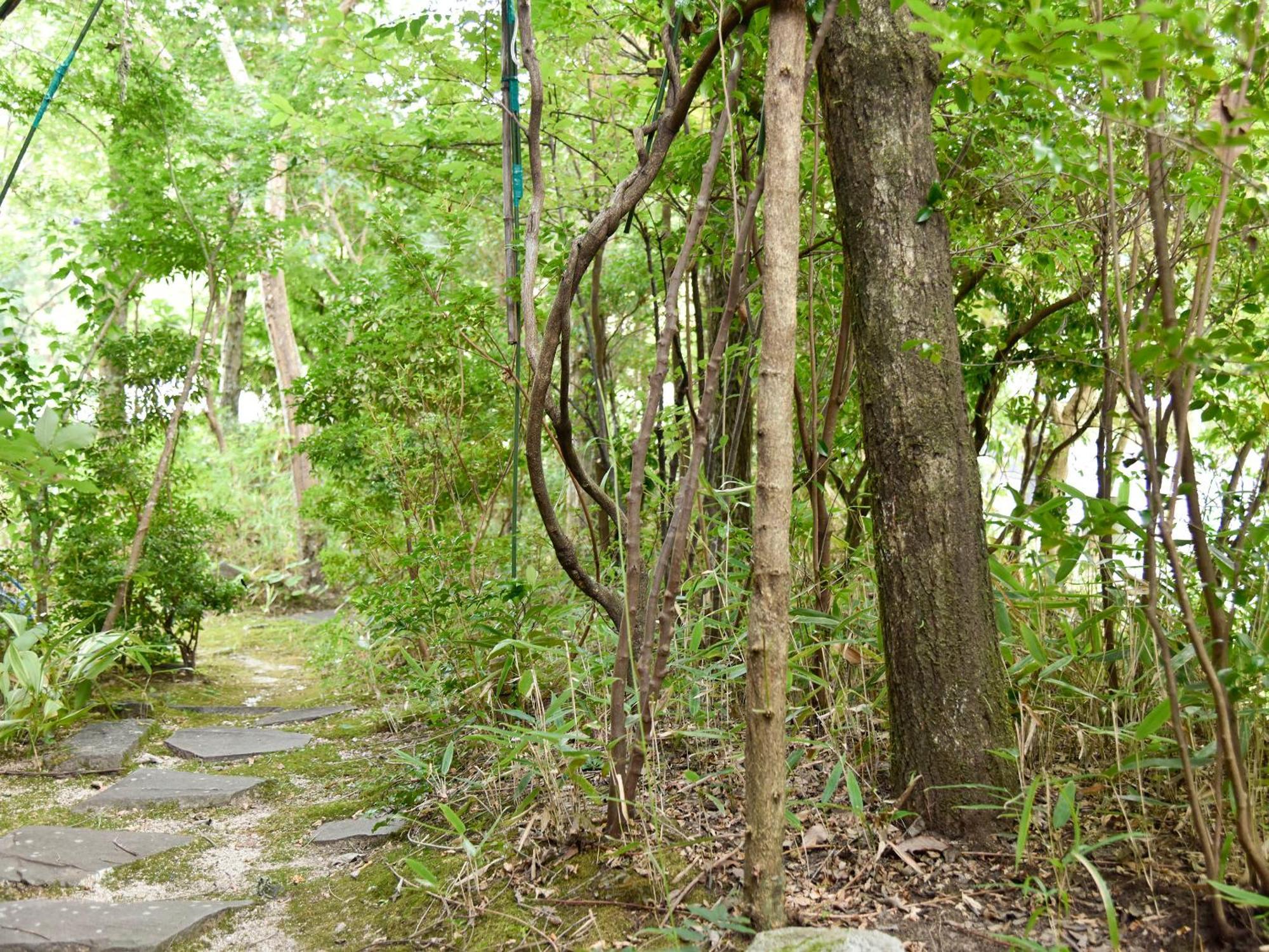 Oyado Yumechidori Hotel ซางะ ภายนอก รูปภาพ